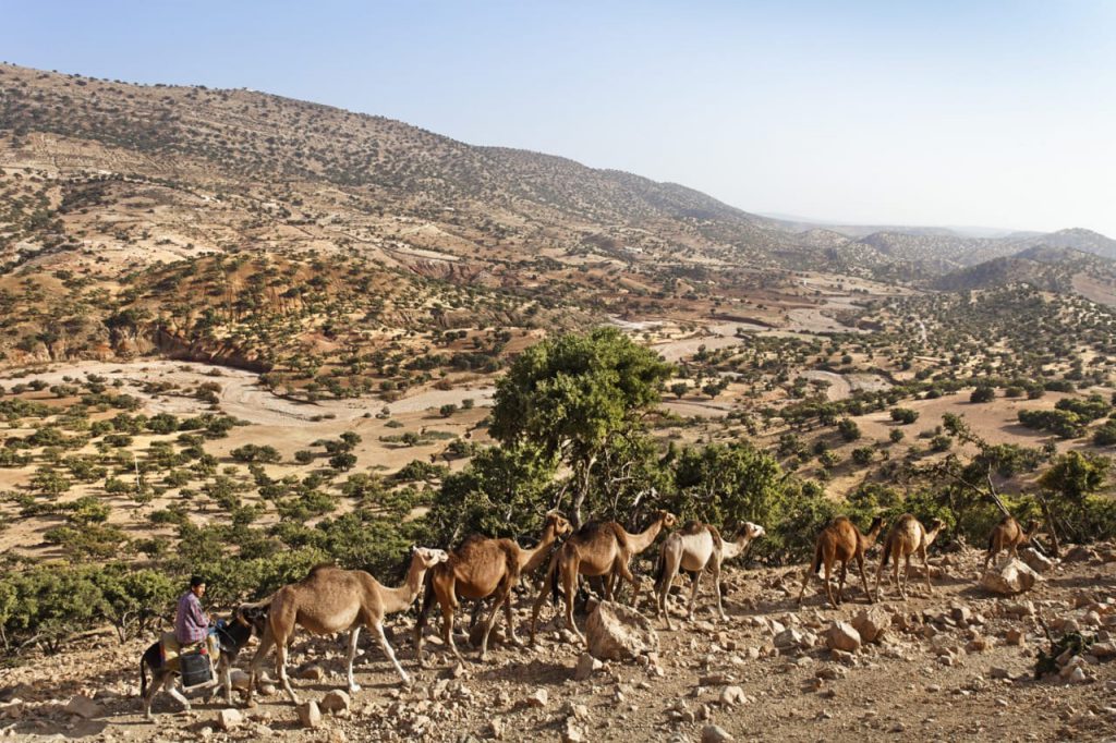 モロッコの乾燥地帯